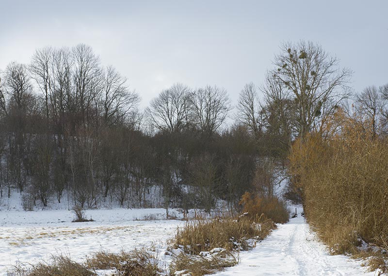 Zimowy krajobraz ze ścieżką poprzez łąki