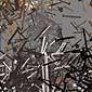 brush 1