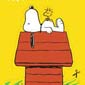 Snoopy ubranka