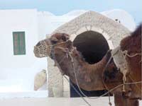 Guellala