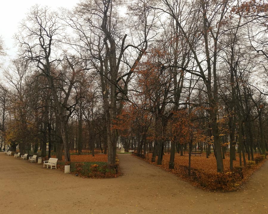 rtrzy alejki parkowe w Łazienkach i drzewa w jesiennych kolorach