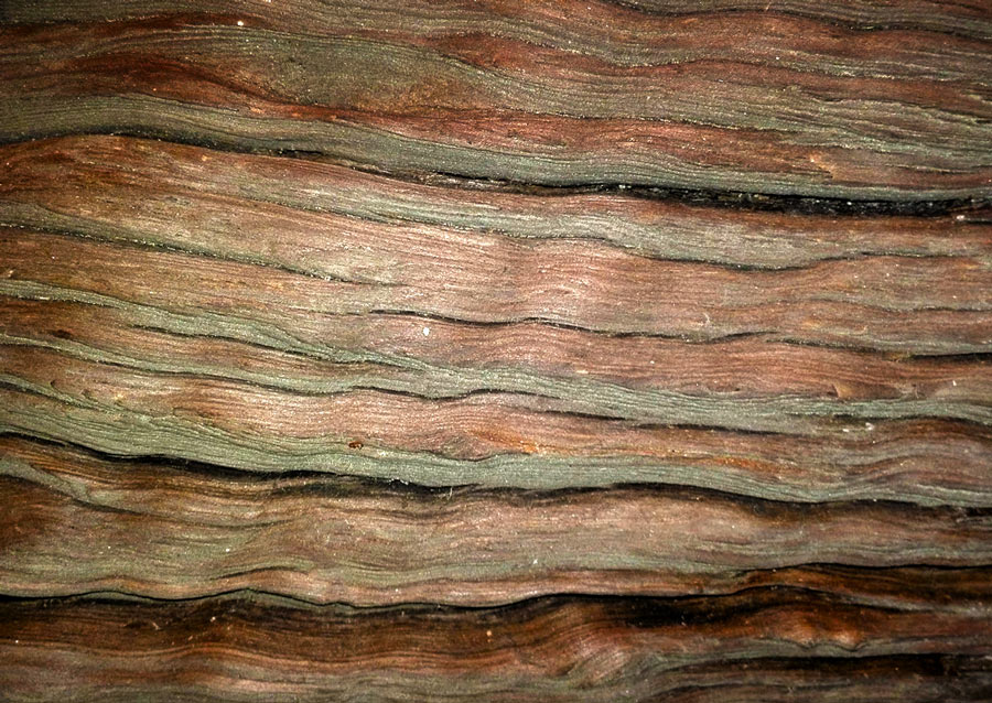 skansen Kadzidło wyraziste słoje drewna