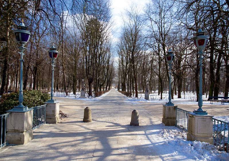 widok na park Łazienki zimą