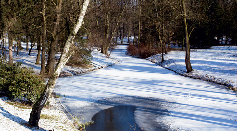 zimowy park Łazienkowski potok w ogrodzie