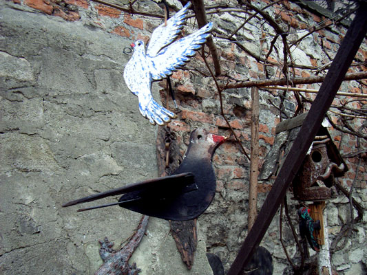 Sandomierz - dziwne ptaki